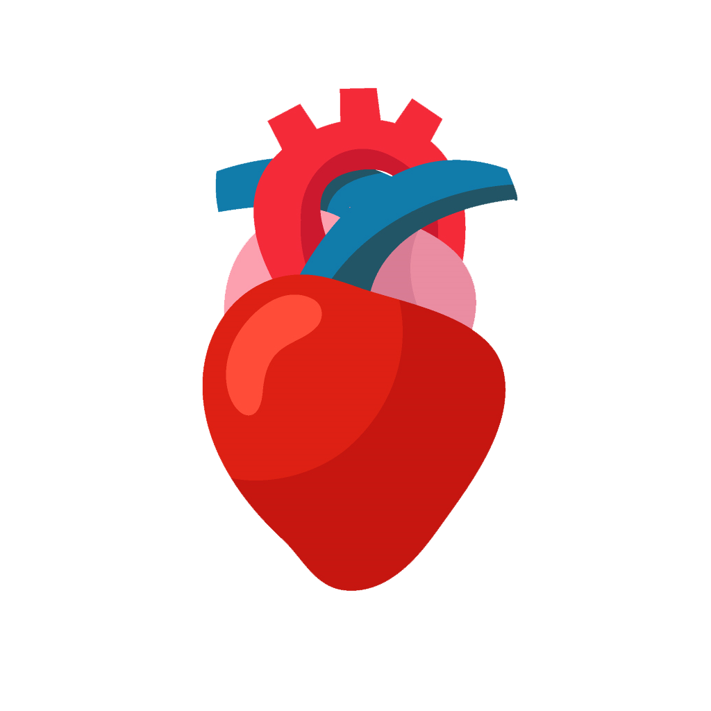 Heart